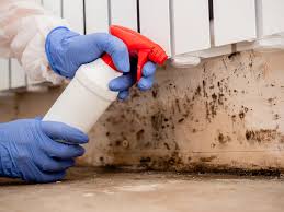 Best Commercial Mold Inspection  in Forest Hills, PA